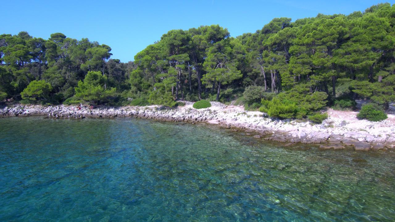 Apartments Ana City Rovinj Dış mekan fotoğraf
